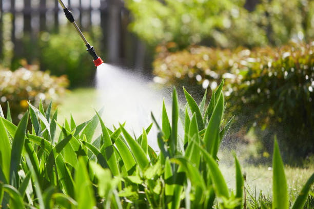 24/7 Emergency Wasp Removal experts in Marshall, WI